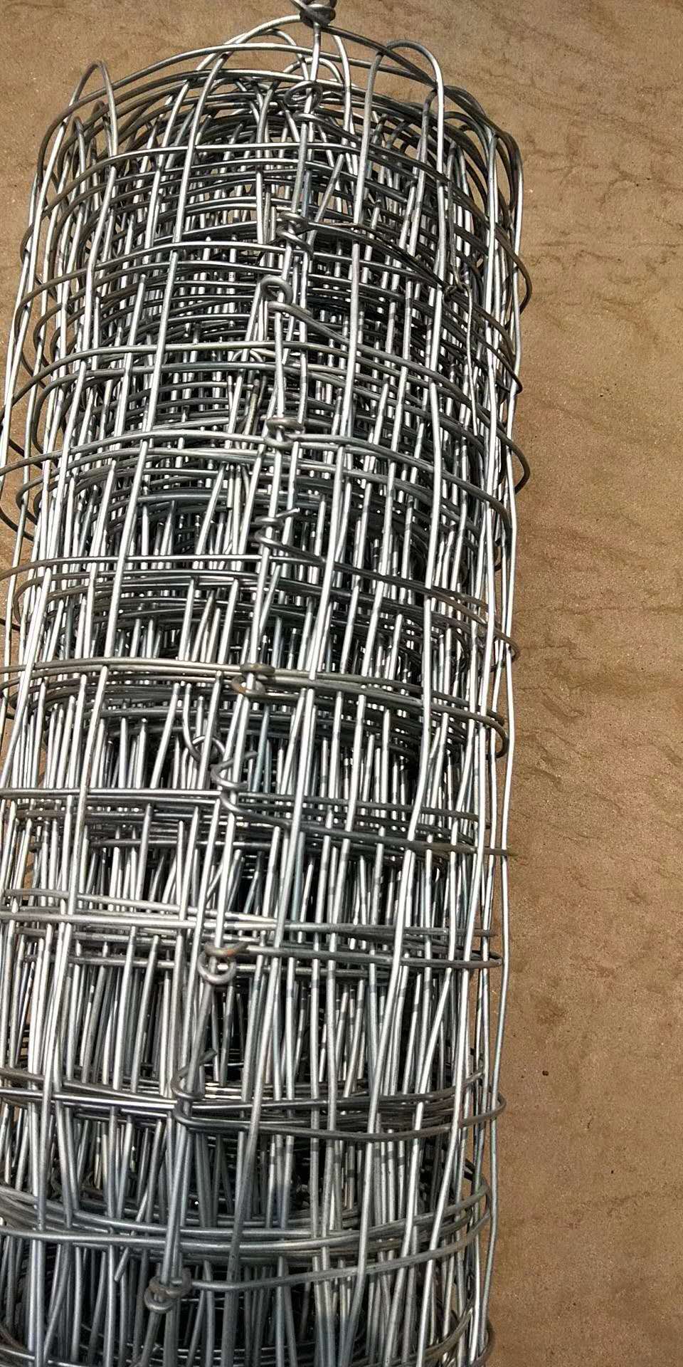 鍍鋅經緯網圖片1