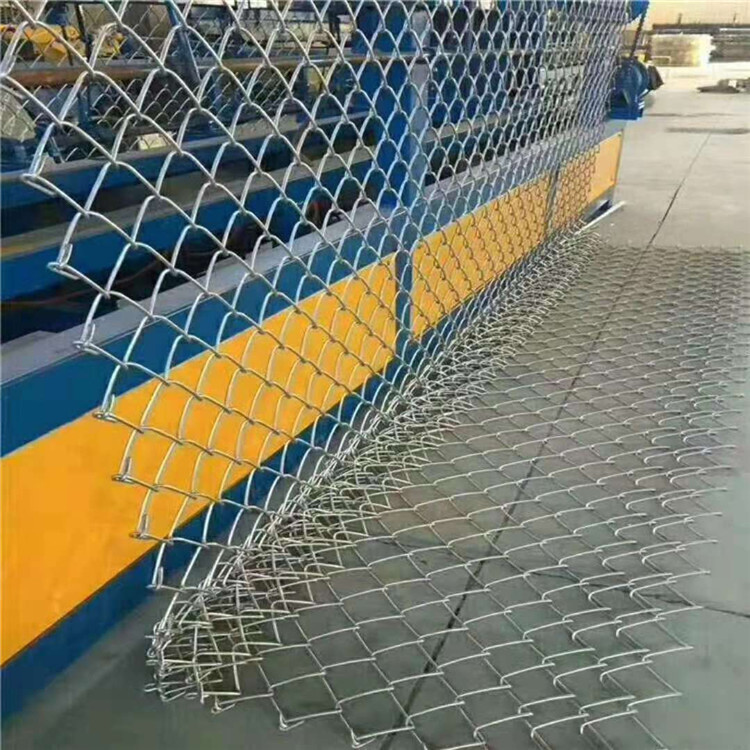 新疆包護山勾花網