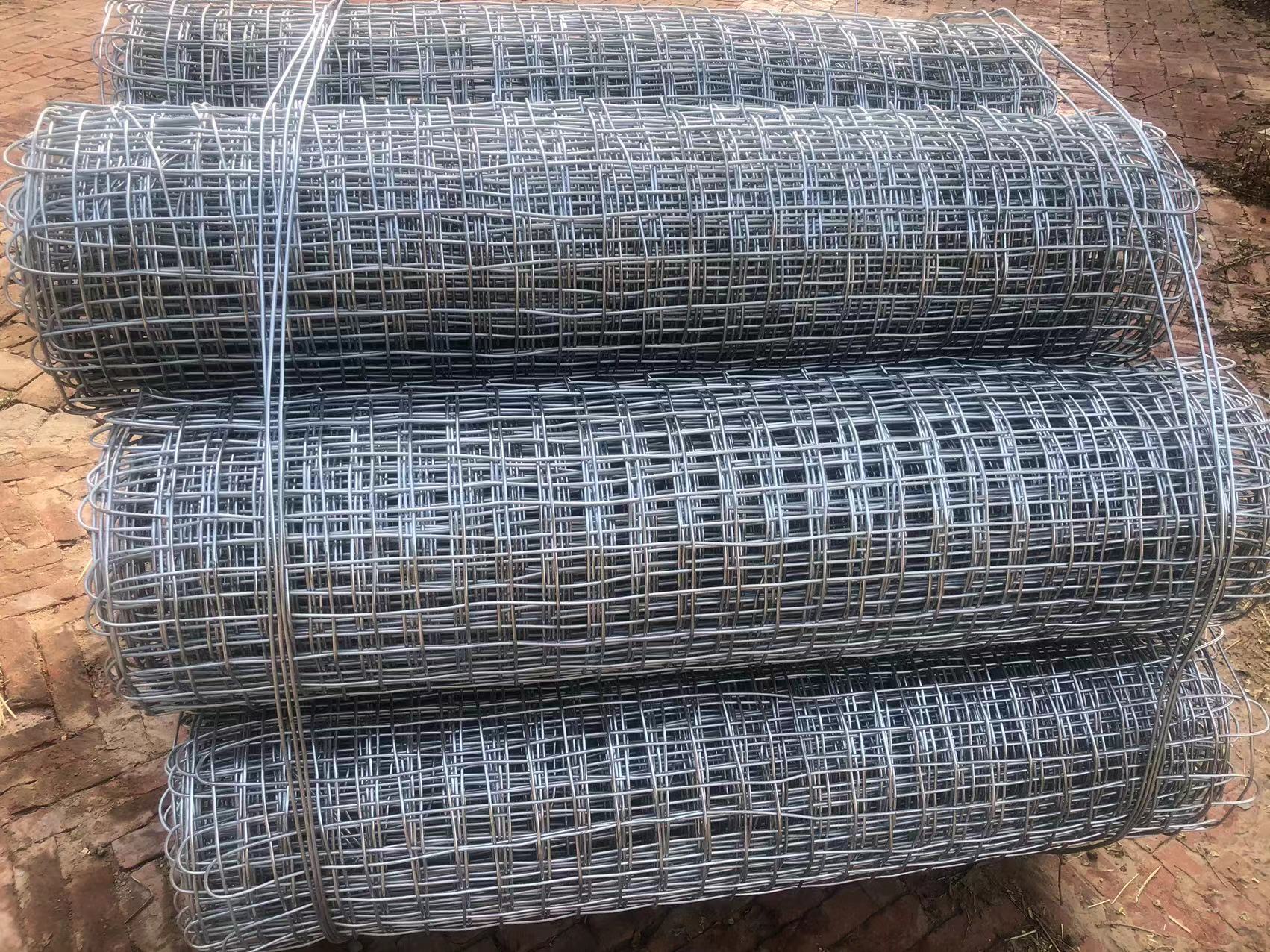 鍍鋅礦用經緯網 煤礦支護網 特殊規格可定做圖片3