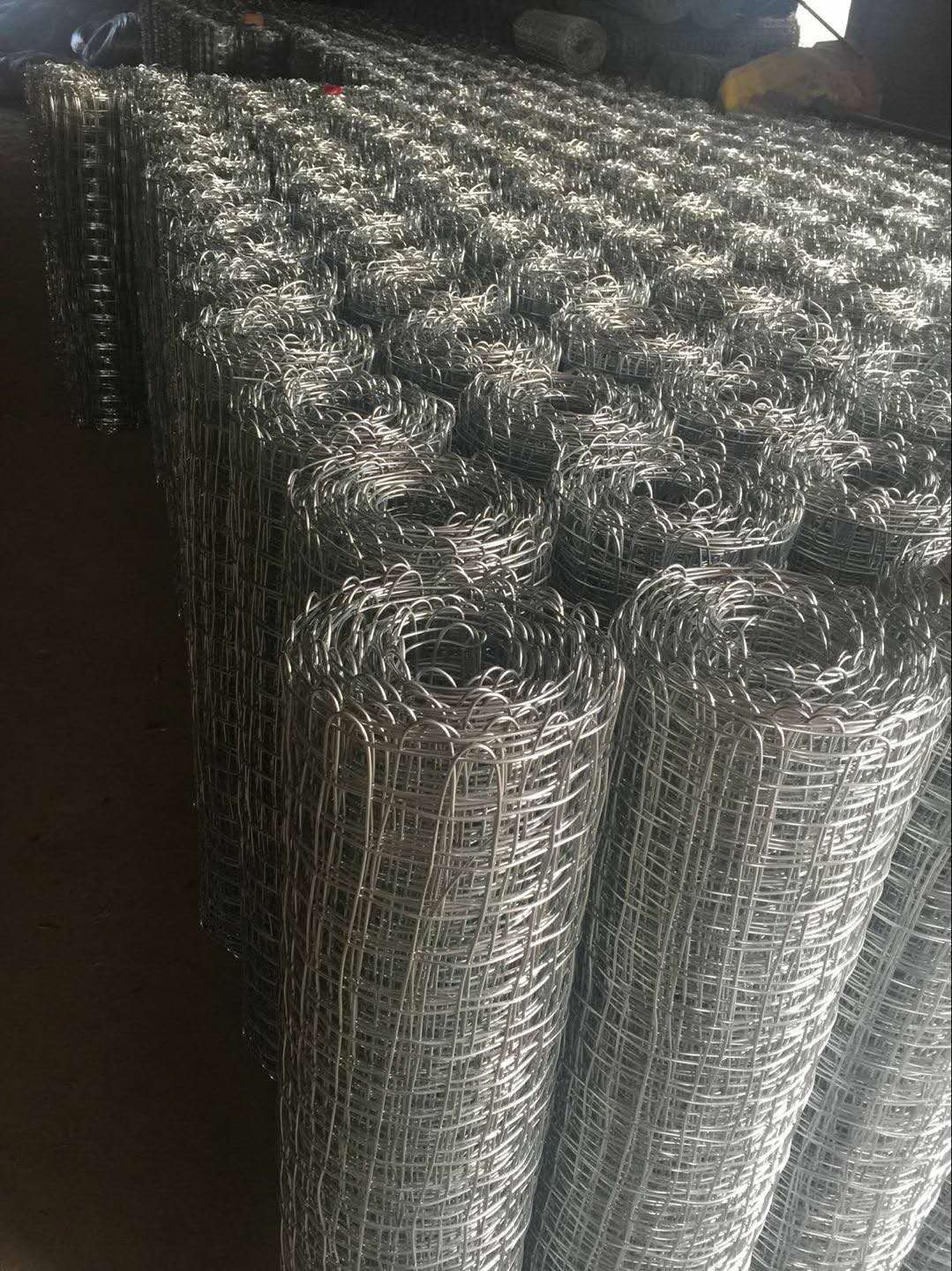 金屬經緯網鍍鋅煤礦經緯編織網